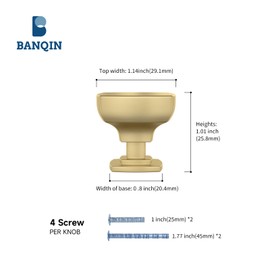 Banqin Cabinet Knobs Kitchen Drawer Knob, 10Pack Gold Square Solid Single Hole Hardware for Dresser