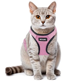 Cat Harness, No Shedding Lead, For Walks, Going Out, Vest, Soft Chest Pads, Lightweight, Adjustable Size, Breathable Mesh, Cats, Kittens, Puppies, Small Dogs (Back Rope/1/Powder XS)