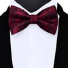 Gusleson Wedding Bow Tie Pocket Square Set for Men Pre-Tied