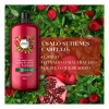Shampoo Herbal Essences® Con Aceite De Ricino Y Granada 1