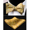 Alizeal Mens Gradient Paisley Self Bow Tie and Hanky Set,