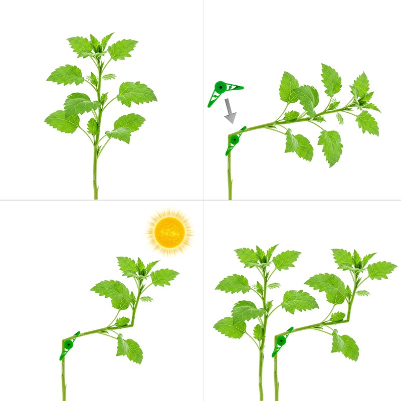 BLISSANY Plant Bender Set with 25 Clips - Plant Clips