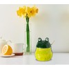 dgudgu Frog Salt Cellar With Lid And Bamboo Spoon Ceramic
