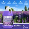 GELEAN LAVENDER Multi Purpose Cleaner & Deodorant Concentrate Lavander cleaner