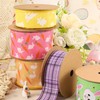 LaRibbons 2-1/2 Inches Wired Ribbon 10 Yards 1 Roll Easter