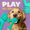 Yomp FunnyBone MAX: All-Natural Rubber Dog Toy, Nontoxic, Safe for