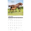 Willow Creek Press Seize the Hay Monthly 2025 Wall Calendar