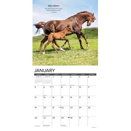 Willow Creek Press Seize the Hay Monthly 2025 Wall Calendar (12" x 12")