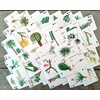 FLONZGIFT Cactus and Succulents Playing Cards (Poker Deck 54 Cards