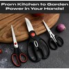 Heavy Duty Multifunctional Kitchen Scissors Set – Sharp Stainless Steel