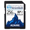 Everything But Stromboli 256GB SD Card Class 10 UHS-1 U3