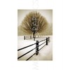 Solitude - Poster by David Lorenz Winston (11 x 14)