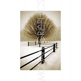 Solitude - Poster by David Lorenz Winston (11 x 14)