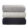Madison Park Coleman Cozy Reversible Blanket, Luxury Plush Season Down