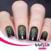 Whats Up Nails - B067 Zoology Trip Stamping Plate for
