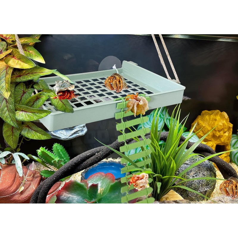 Hermit Crab Climbing Toys Hermit Crab Accessories Reptile Ladder Plastic