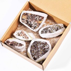 VIZYTOU VIZYTOU Natural Chalcopyrite Rock Specimens Symbiosis Red Crystal Quartz Rough Mineral Stone Collection Crystal Gifts 1.0 Pound