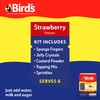 Bird's Trifle Kit, Strawberry Flavoured Dessert Mix, 141 g (Pack
