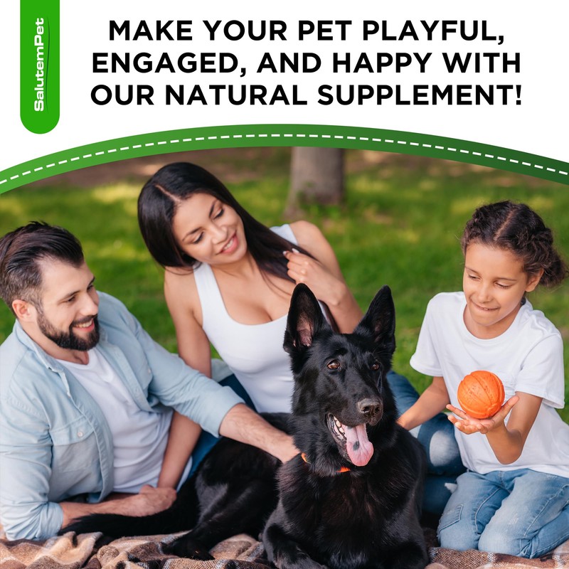 Probiotics for Dogs | Liquid Probiotics for Dogs and Puppies