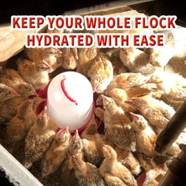 6 Pack 1.5L Gravity-Fed Chick Water for Brooder – Poultry Drinker | Water Dispenser for Baby Chicks, Ducks, Quail, Pigeons, and Backyard Coop Use