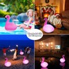 Cootway Floating Pool Lights Pack of 2, Solar Flamingo Pool