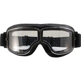 Birdz Eyewear Condor Sport - anteojos acolchadas para motociclismo, color negro con lente fotocrómica transparente para fumar