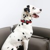 Unique style paws Dog Collar Pet Gift Adjustable Soft and