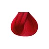 Kiss Tintation Semi-Permanent Hair Color 5 Ounce, T740 Rose Gold