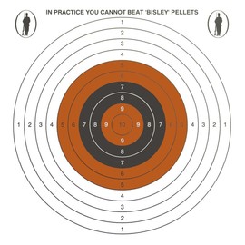 Bisley 17cm Economy Card Single Targets 100Pk