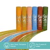 Kwik Stix Tempera Paint, Earth Tones, 6 Colors