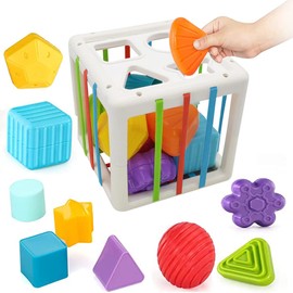 10 Coloridos Juguetes Sensoriales de Formas y 1 Clasificador de Formas con Banda Elástica,Cubo Clasificador de Formas para Niños,Juguetes Colorido Sensoriales Montessori,Juguete de Clasificación