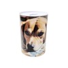 Money Box Metal Cannot Open with Dog Picture Golden Retriever
