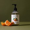 Koala Eco Natural Fruit & Vege Wash, 500ml