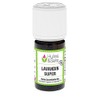 Lavandin super essential oil (organic)