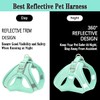 Dog Harness and Leash Set Dog Chest Strap Pet Vest