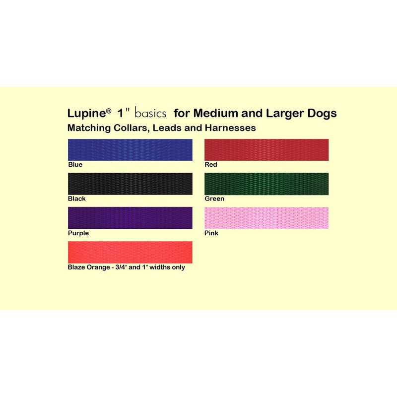 LupinePet Basics 1" Blaze Orange 19-27" Martingale Collar for Large