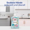 Sagrotan Hand Soap Summer Limited Edition 250 ml Sardinia Dreams