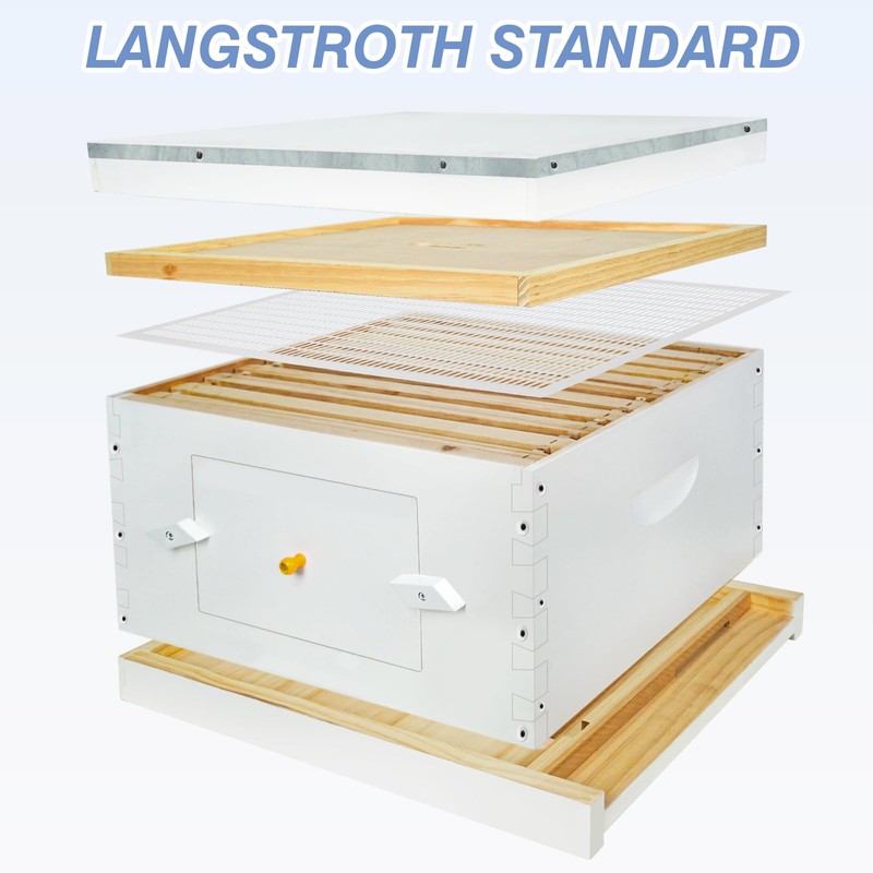 BeeTech Newest Windows 8 Frame Bee Hive Boxes Starter Kit