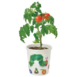 Seishin Pottery All-Year Home Garden Easy Cultivation Kit Mini Tomato Vegetable Cultivation Set (Independent Study/Food Education) Pot Diameter Approx. 4.3 inches (11 cm) The Very Hungry Caterpillar