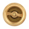 DN25 Female Female Brass Check Valve with Filter Filter