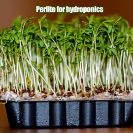 Omitgoter Horticultural Perlite for Plants 1qt, All Natural Horticultural Soil Additive Conditioner Mix, Improve Ventilation and Drainage, Enhance Soil Health and Root Growth