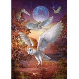 Jigsaw puzzles for adults 1000, 1000 piece jigsaw puzzles for adults, jigsaw puzzle, puzzles for adults, puzzles, wasgij puzzles 1000 pieces, Owls Flying in the Moonlight Puzzle