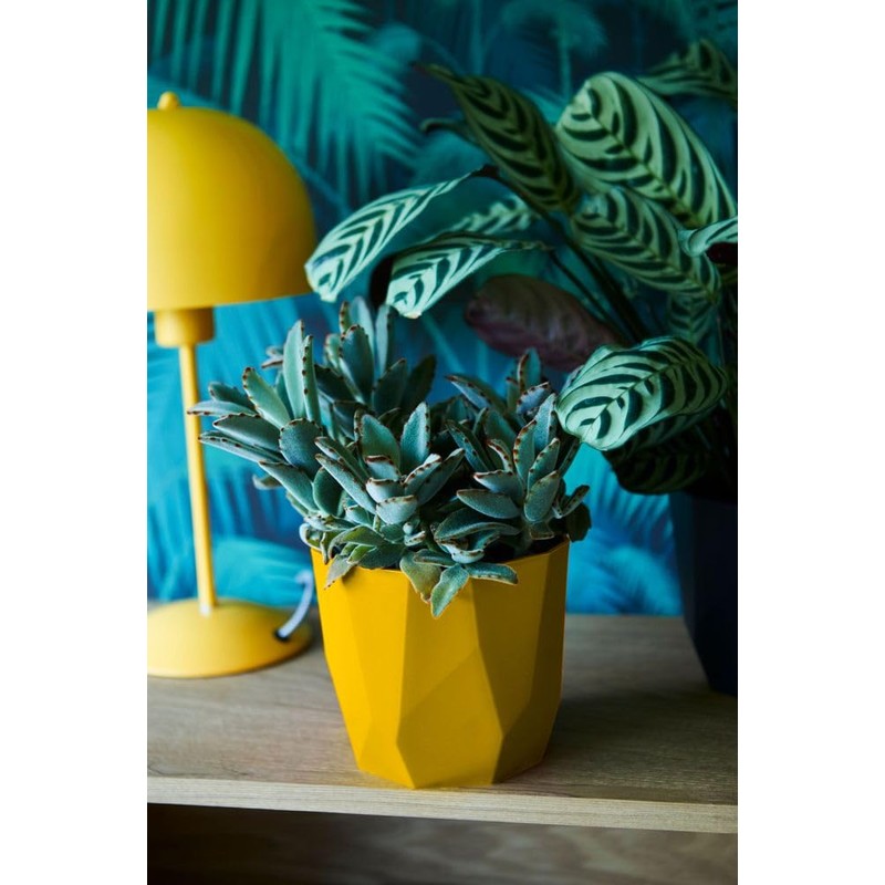 elho B.for Rock Flower Pot.