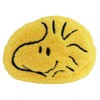 Unique PEANUTS Face Cosmetic Pouch, Woodstock ES441C, Popular Characters, Present,
