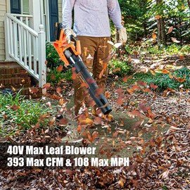 LawnMaster CLBL4016A Cordless Leaf Blower 40V Max with 2.0Ah,Battery Powered Leaf Blower Lightweight for Lawn Care, Leaves and Snow Blowing(Battery & Quick Charger)
