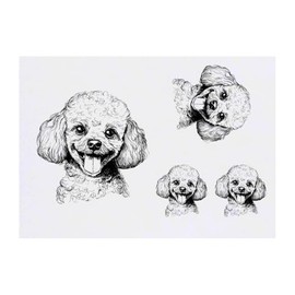 Azeeda 4 x 'Toypudel-Porträt' Temporäre Tattoos - Wasserfest, Hautfreundlich & Ungiftig · Transfers in Verschiedenen Größen (TO00082100)