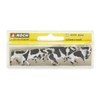 Noch 15725 Cows, black-white, Coloured