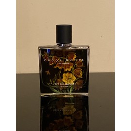 NEST Fragrances COCOA WOODS Eau De Parfum 1.7oz/50ML Spray