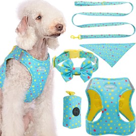 MESVIER Arnés para Perro Chico Mediano con Correa, Collar, Bandana, Bolsa, Pechera para Perro Cachorro Sin Tirones para Caminar Viajar Entrenar, Conjunto de Accesorios para Perros (Azul, XS)