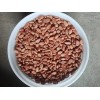 7 Kilos De Cacao Seco Grano Agroecologico Comalcalco Tabasco